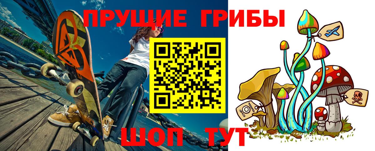 Псилоцибиновые грибы Psilocybe Алексин